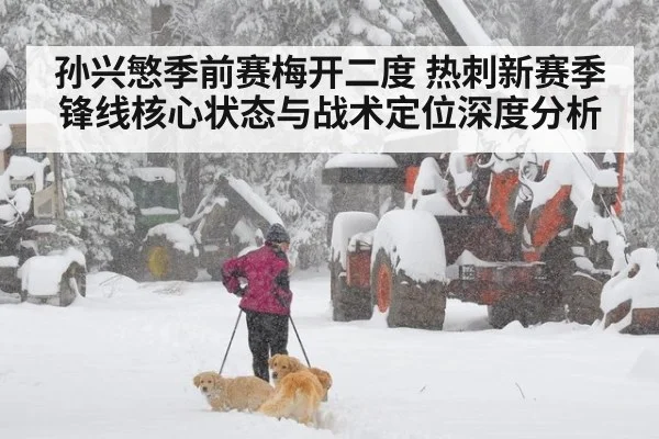 孙兴慜季前赛梅开二度 热刺新赛季锋线核心状态与战术定位深度分析